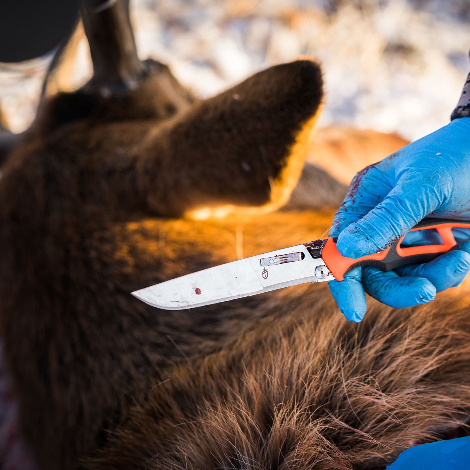 Gerber Gear Randy Newberg EBS